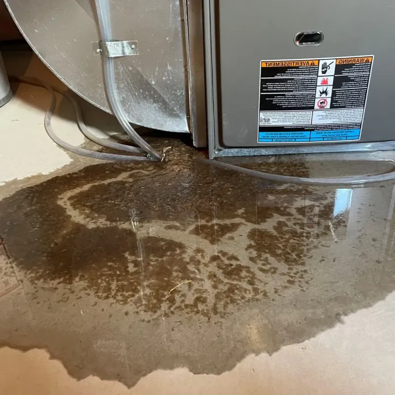 Pipe Burst and Leak Restoration in Vinita, OK